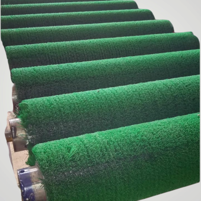 Conveyor processing roller brush