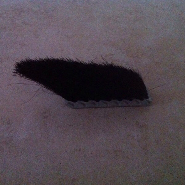 Brush for cleaning the die band.