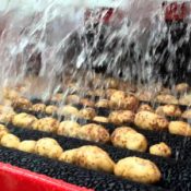 vegetales-1-300x300-1-1.jpg