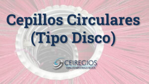 Cepillos Circulares Industriales (Tipo disco) | Cepillos Industriales Regios
