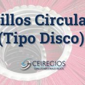 Cepillos Circulares Industriales (Tipo disco) | Cepillos Industriales Regios